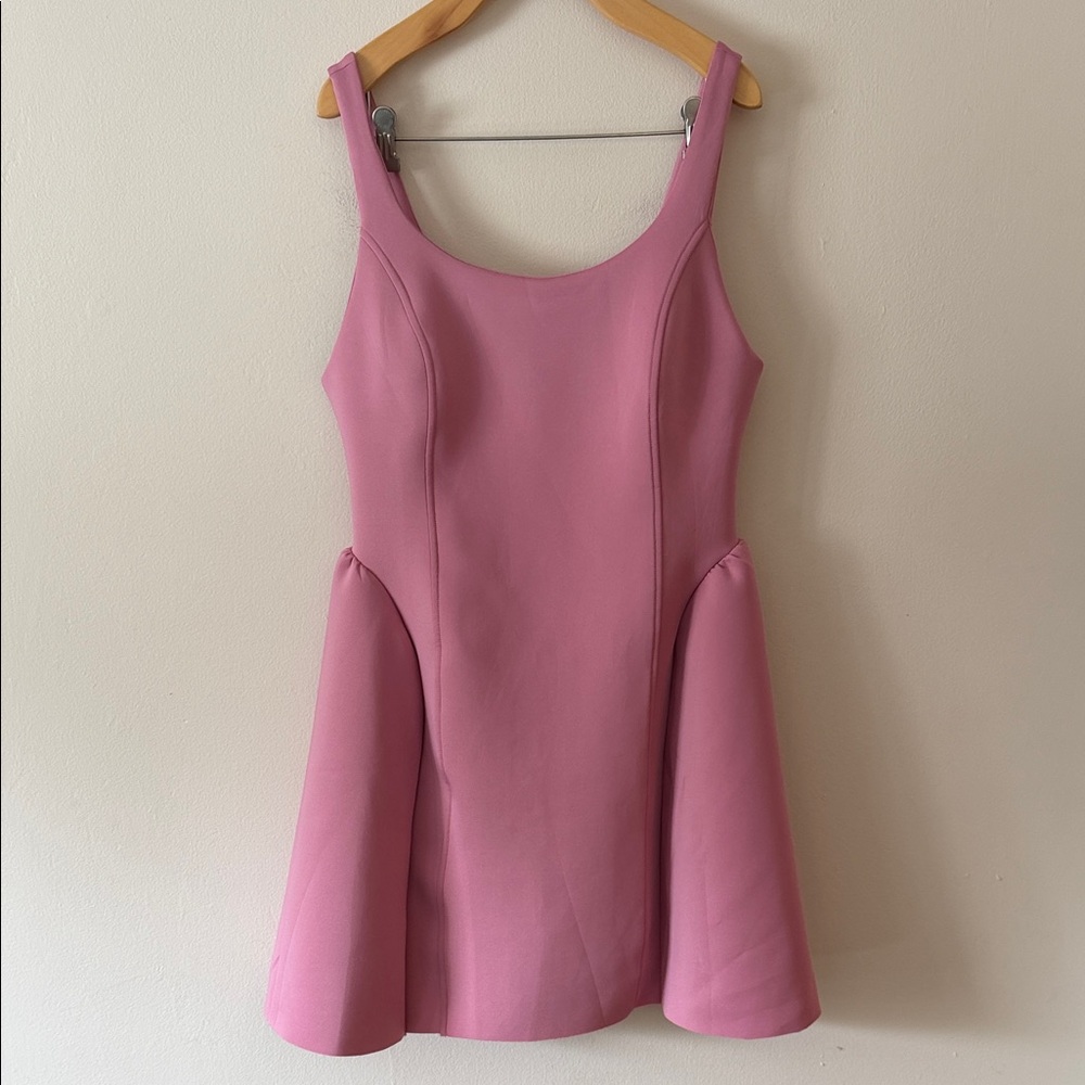 NWT Maeve Sleeveless Seamed Fit & Flare Mini Dress in Pink Drink Size M - Picture 4 of 9
